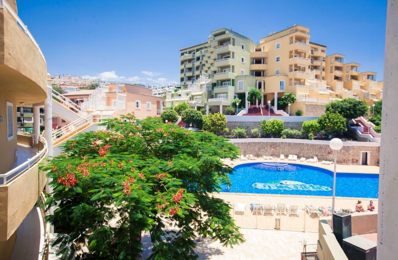 Orlando Ocean Dream Apartment أذيخي المظهر الخارجي الصورة